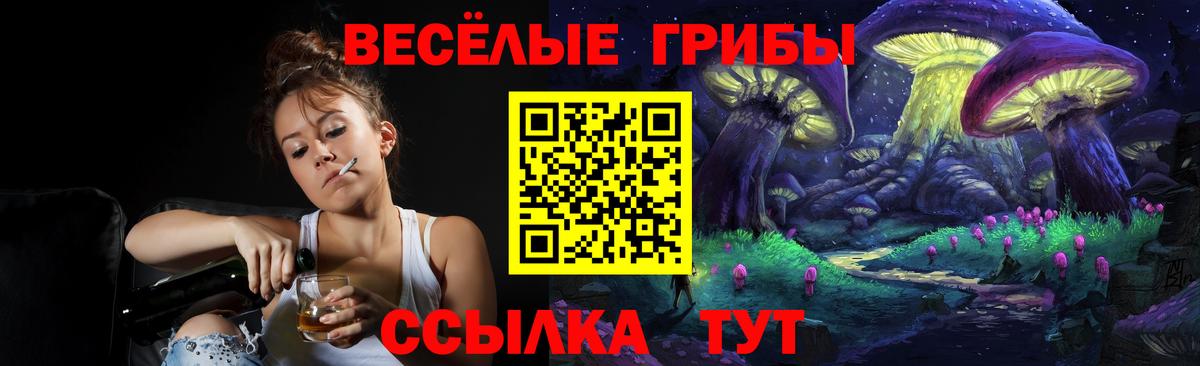 Галлюциногенные грибы GOLDEN TEACHER Таганрог